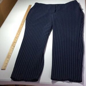 Chico’s Navy Pinstripe Pants size 12  Chico’s size 2.
